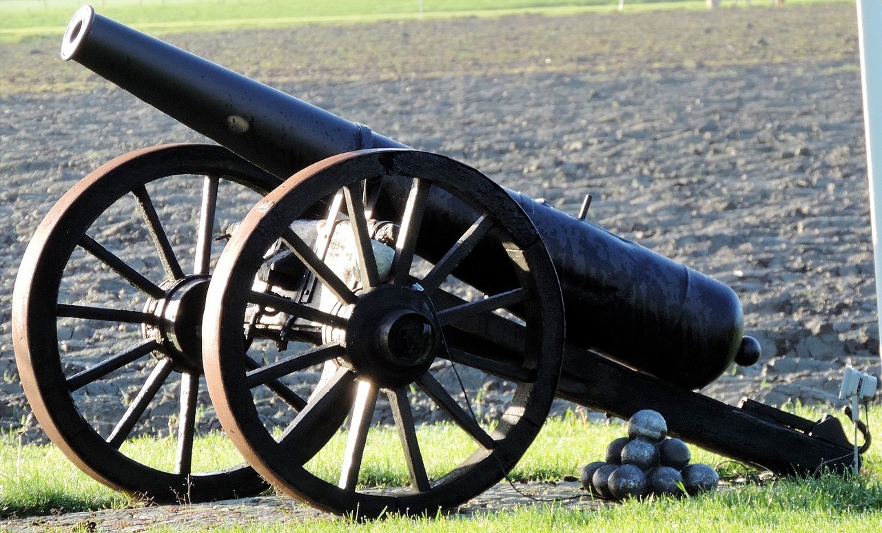 cannon-314498_1280.jpg